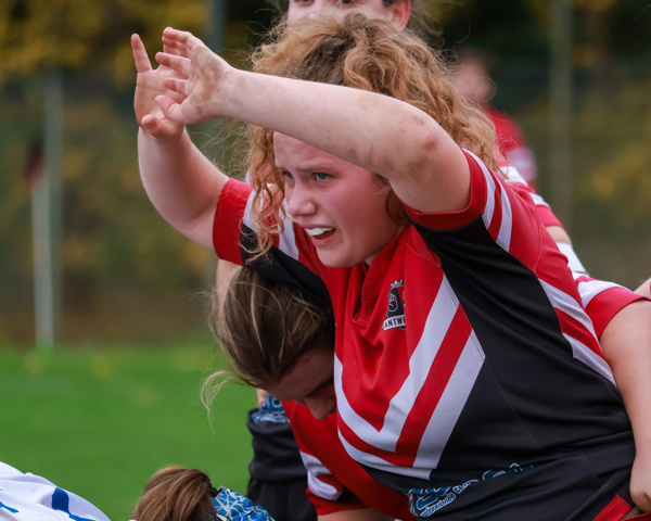 Ladies XV's
