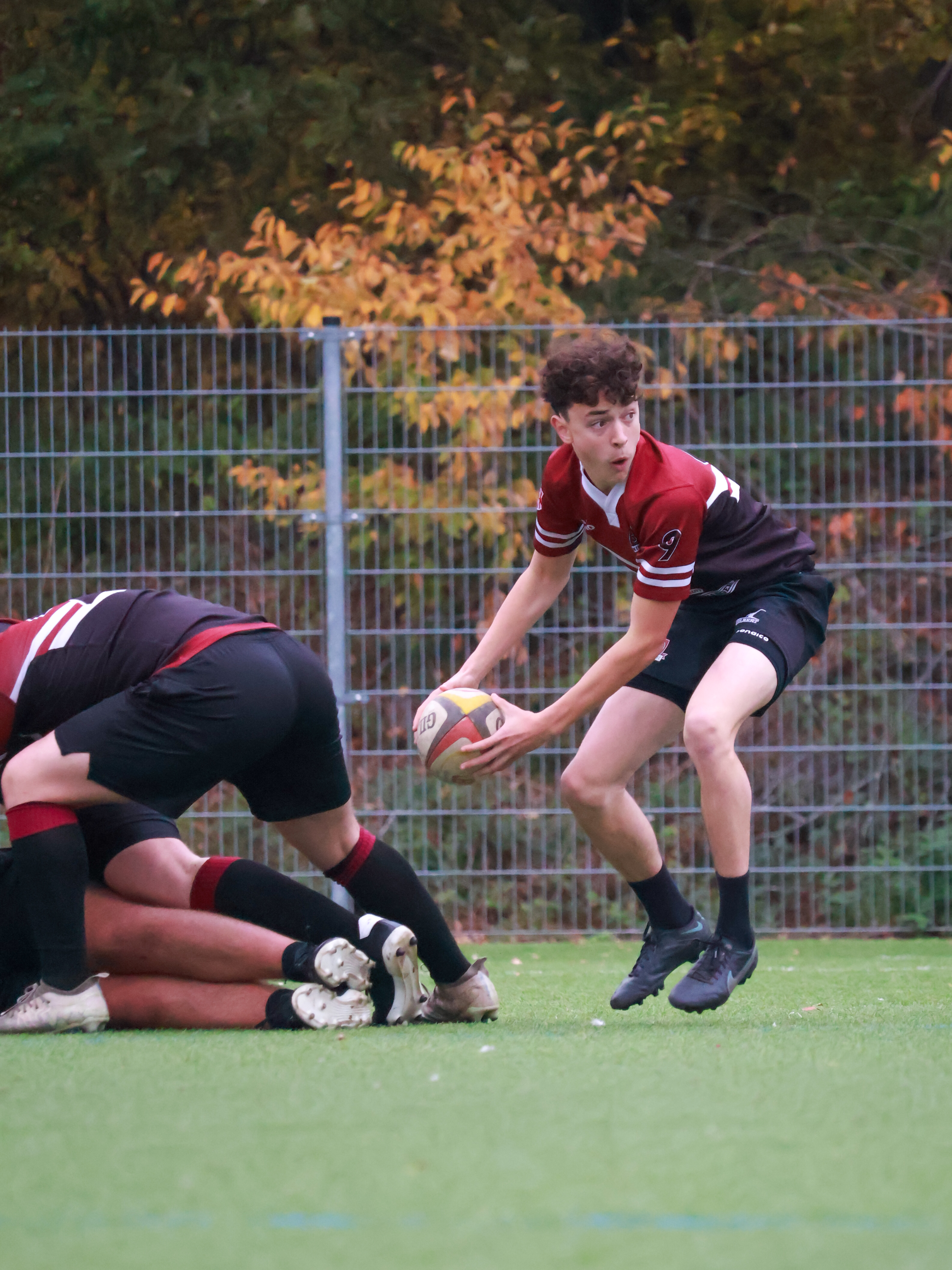 Antwerp-Buc-5